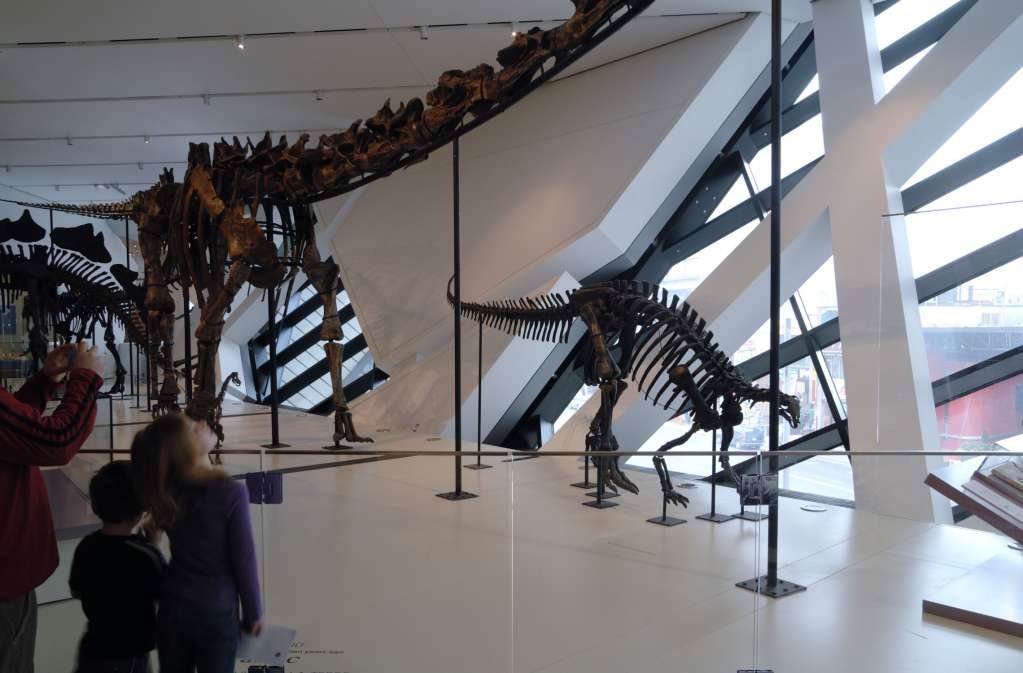 Sảnh chính được tận dụng để trưng bày những bộ xương khủng long
